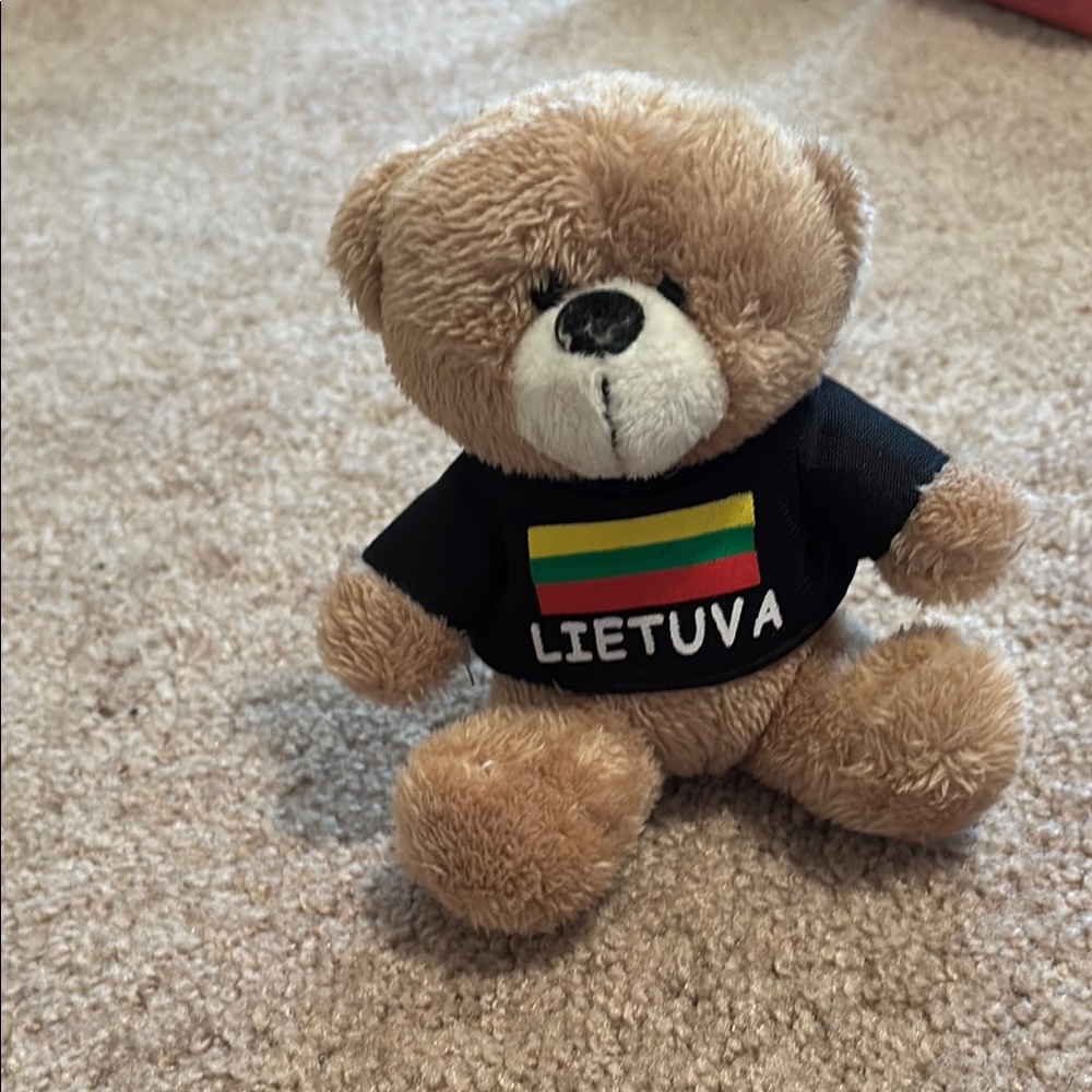 Brown Teddy Bear with Lietuva Shirt